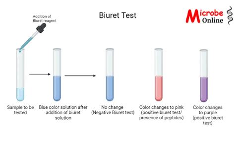 biuret test pronunciation